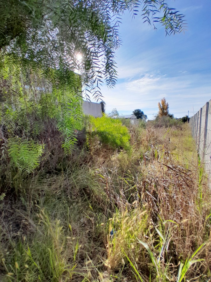 VENDEMOS TERRENO EN SAUCE MONTRULL Calle Marega